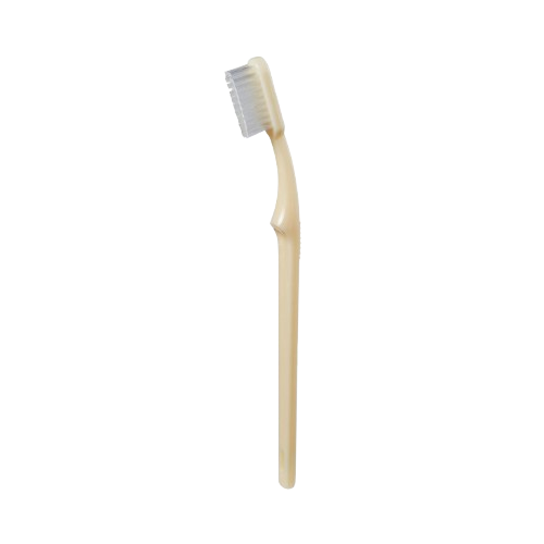 Toothbrush McKesson Ivory Adult Medium